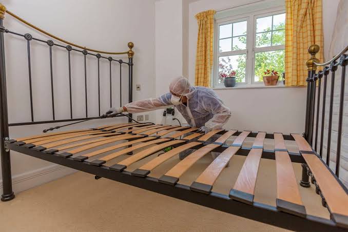 bed bugs control services in nairobi kenya